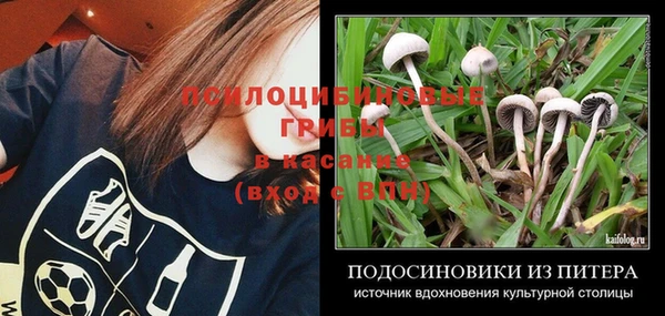 прущий лед Армянск