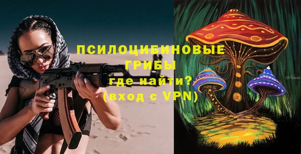 гидра Аркадак