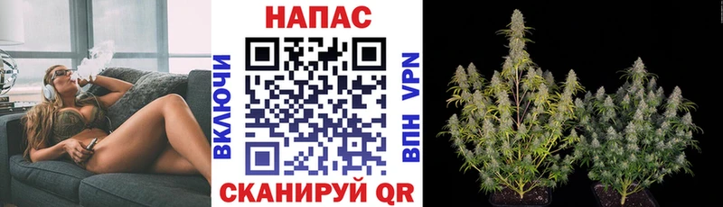 Бошки марихуана ГИДРОПОН  где продают   Нарткала 